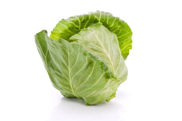 How to cook young cabbage deliciously