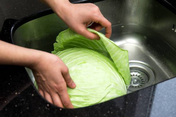 What to cook with young cabbage besides salad