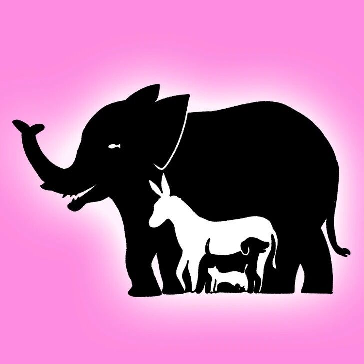 Find all the animals in the picture: a puzzle for geniuses