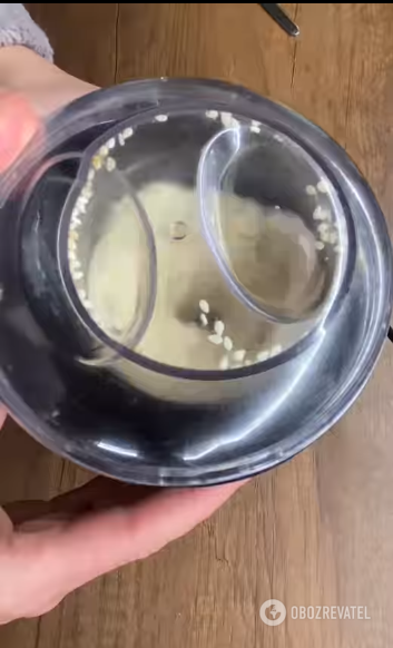 How to make eggplant paste: a variant of an elementary bread spread