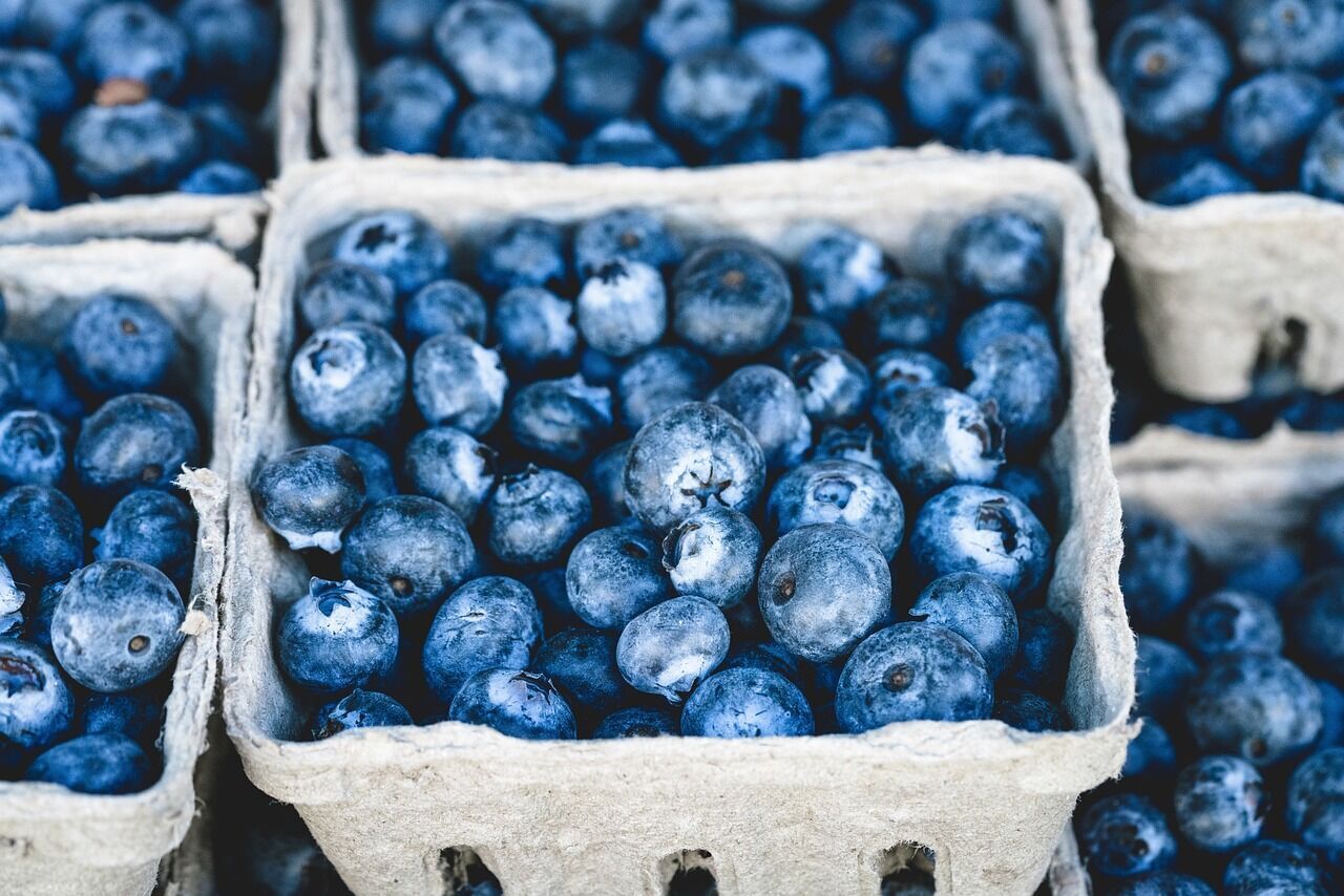 Blueberries for baking