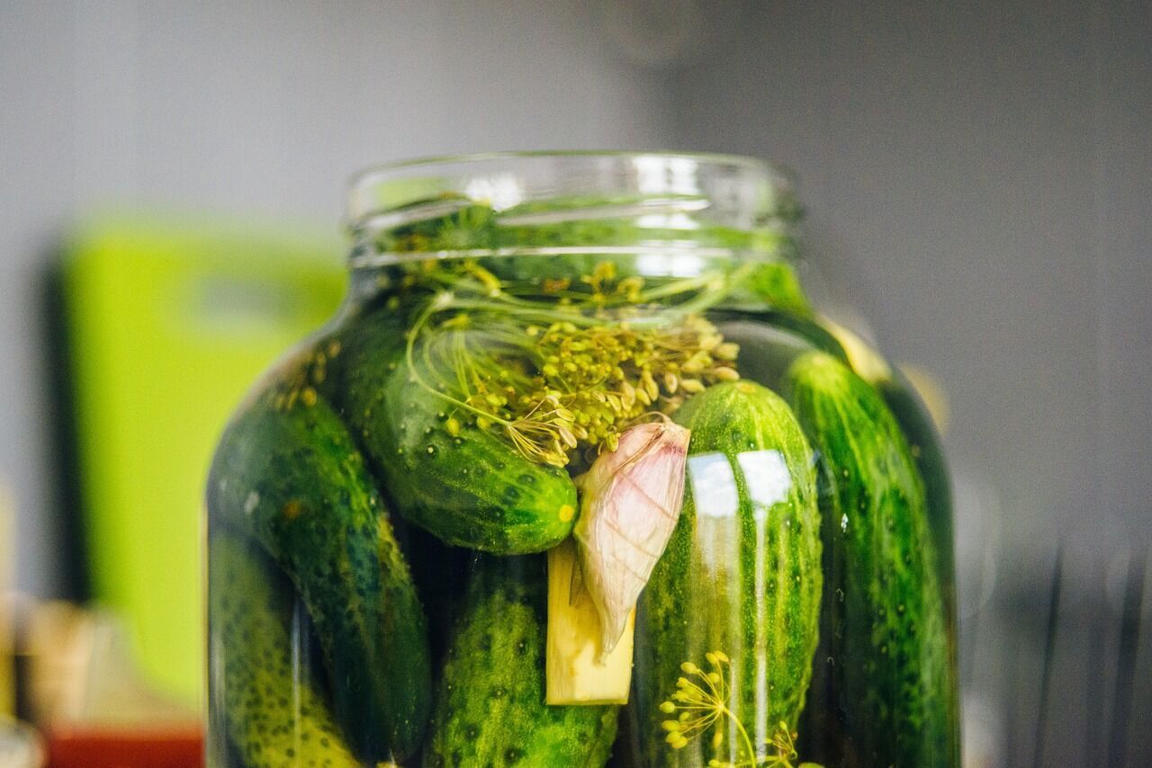 Pickled cucumbers in a jar