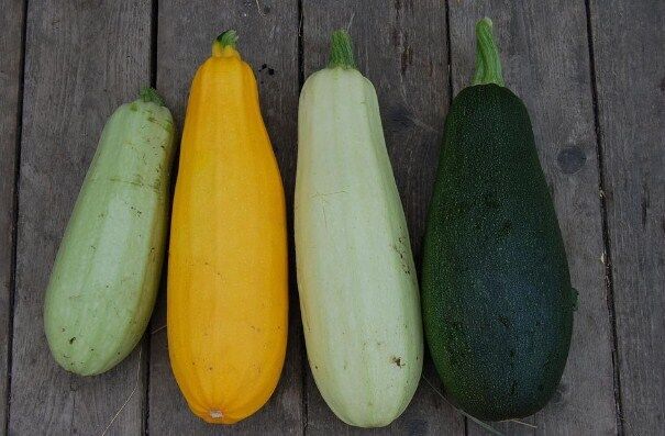 Zucchini preserves for the winter