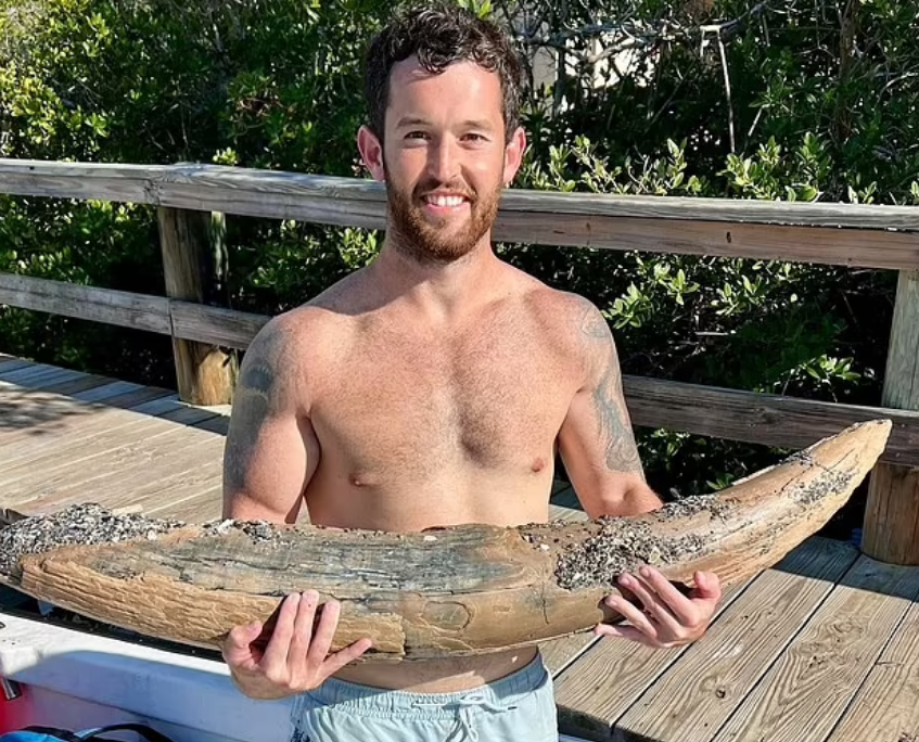Man discovers the remains of a prehistoric ''monster'' that lived 10 million years ago while diving off the coast of Florida