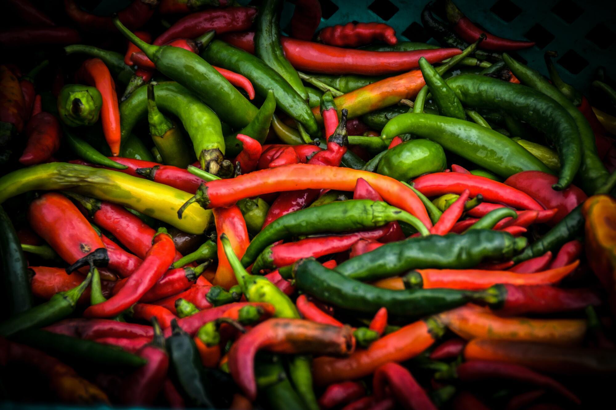 Hot pepper