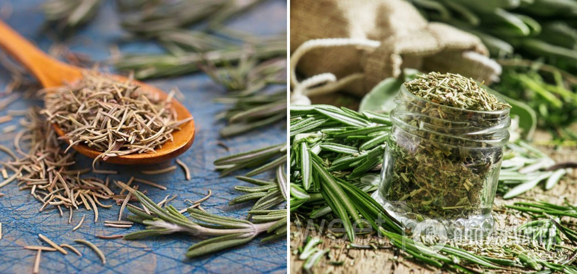 Rosemary for spice