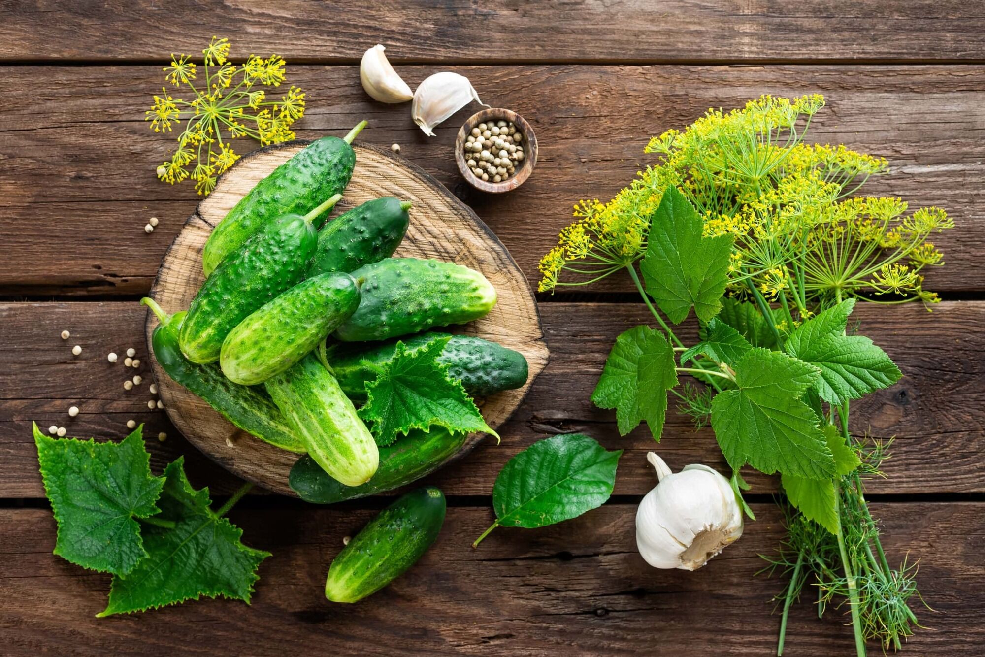 Canning will never turn out well: the most common mistakes that ruin everything