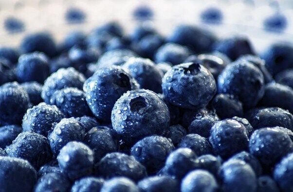 How to pickle blueberries with sugar to keep them healthy