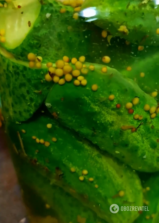 The most delicious cucumbers with mustard for winter: turn out crispy and juicy