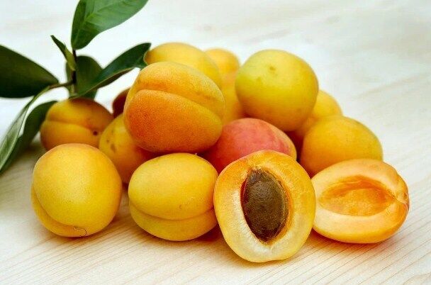 How to freeze apricots for the winter in halves