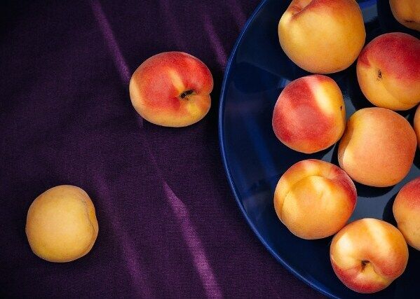 Apricots with sugar for the winter