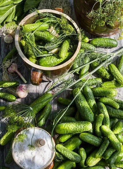 How to properly salt cucumbers