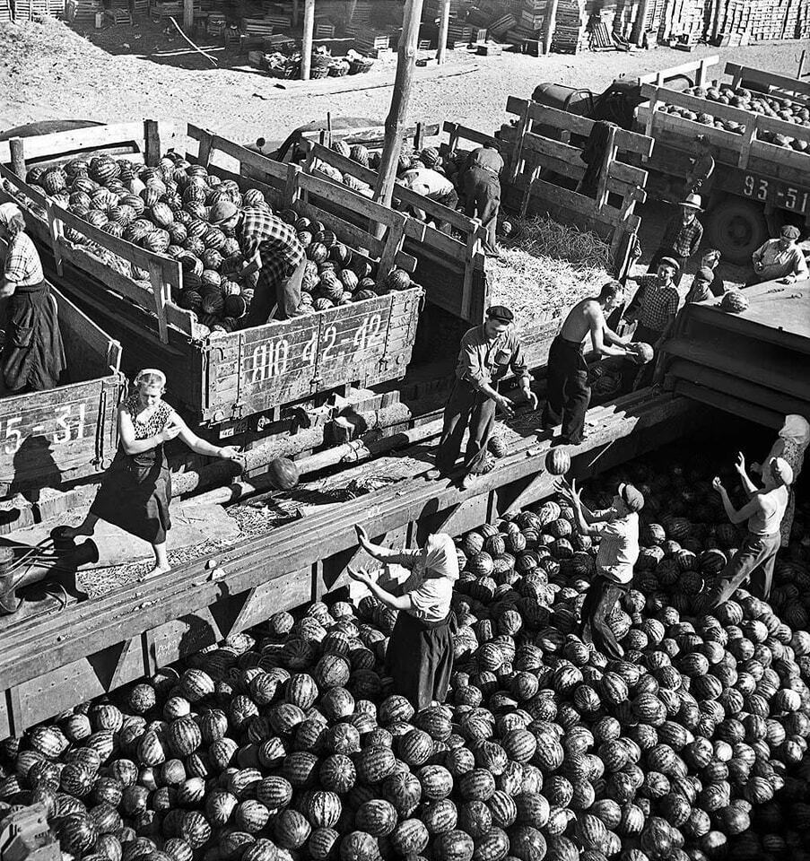 The network showed how watermelon barges were unloaded in Kyiv in 1958. Unique photos