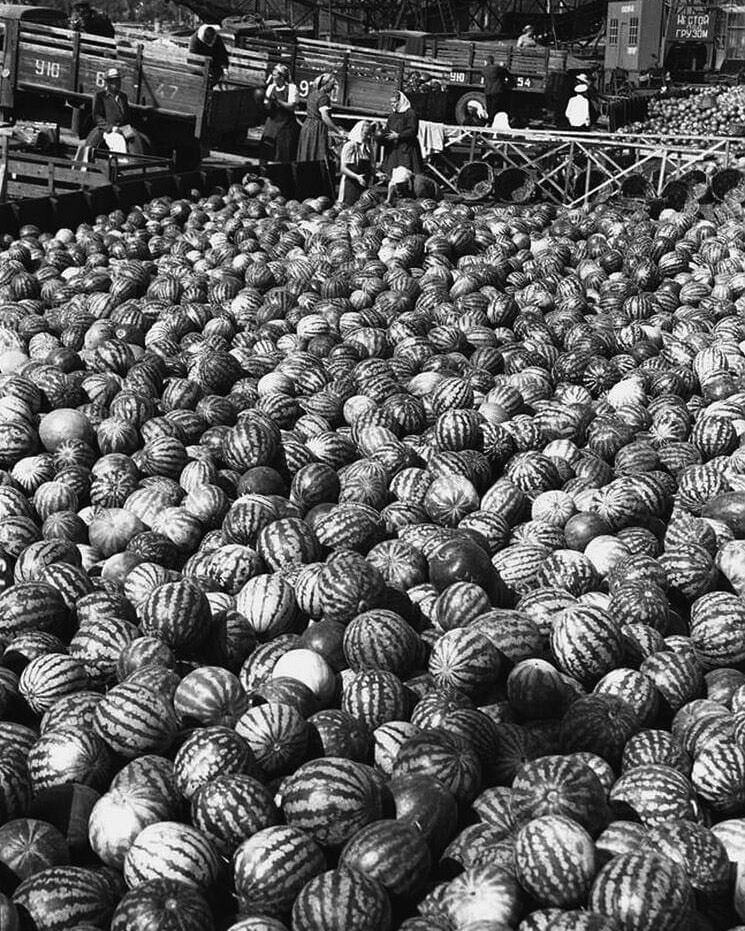 The network showed how watermelon barges were unloaded in Kyiv in 1958. Unique photos