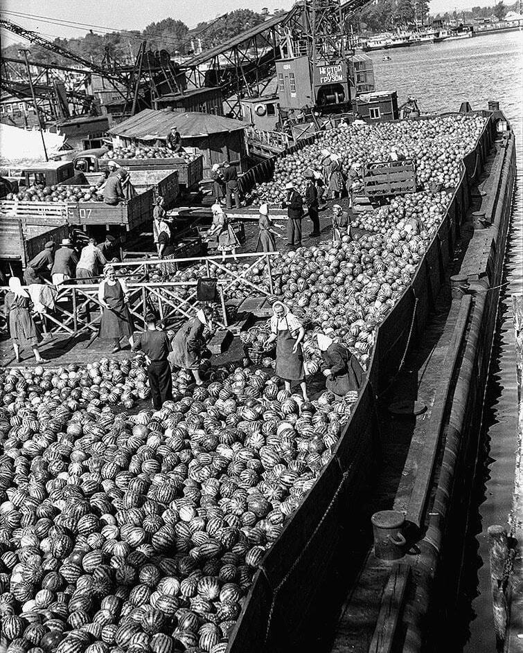 The network showed how watermelon barges were unloaded in Kyiv in 1958. Unique photos