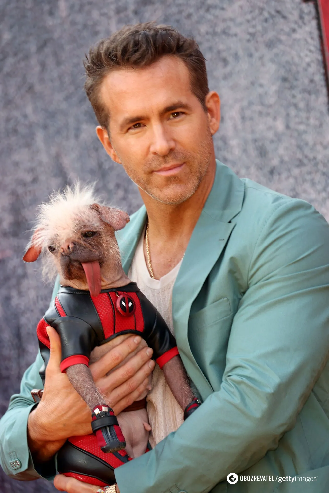 The ugliest dog in the UK hit the red carpet in a costume from the movie ''Deadpool and Wolverine.'' Photo