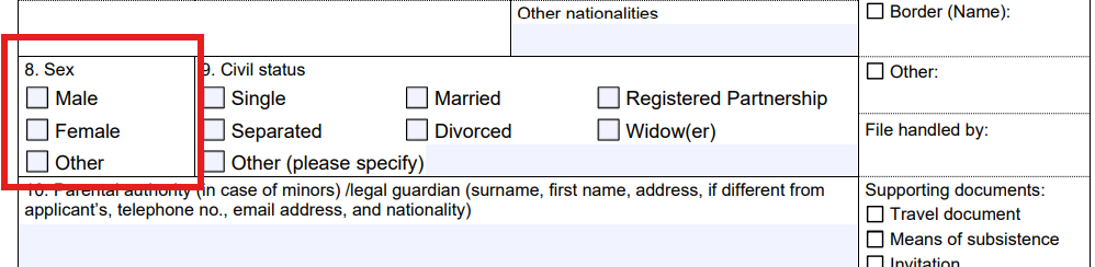 Schengen visa application forms to change starting from July: what awaits tourists in 2024