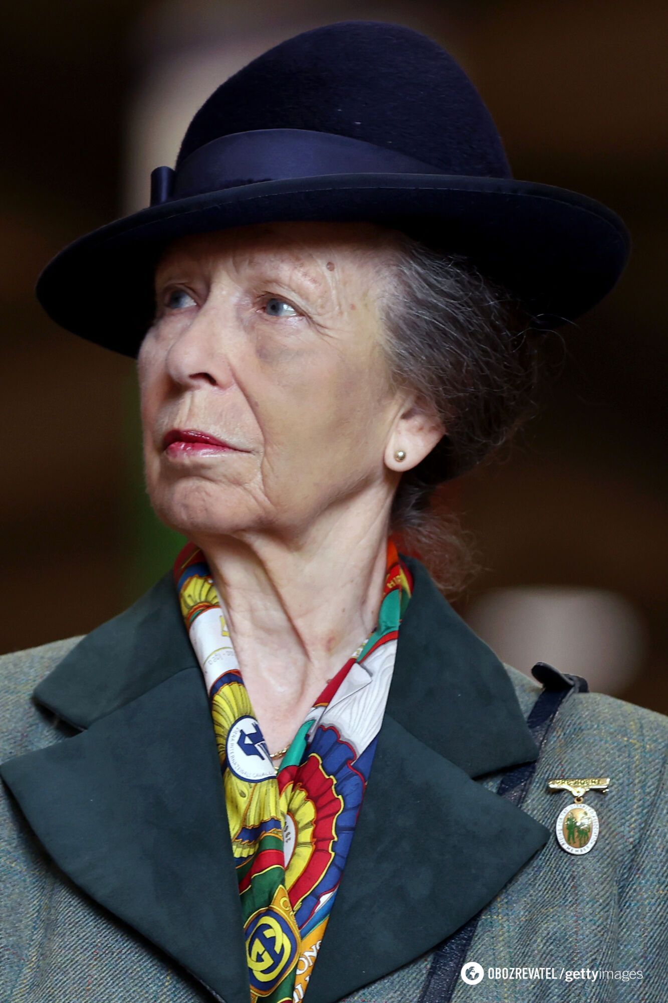 The horse hit her on the head. Princess Anne makes her first public appearance after hospitalization