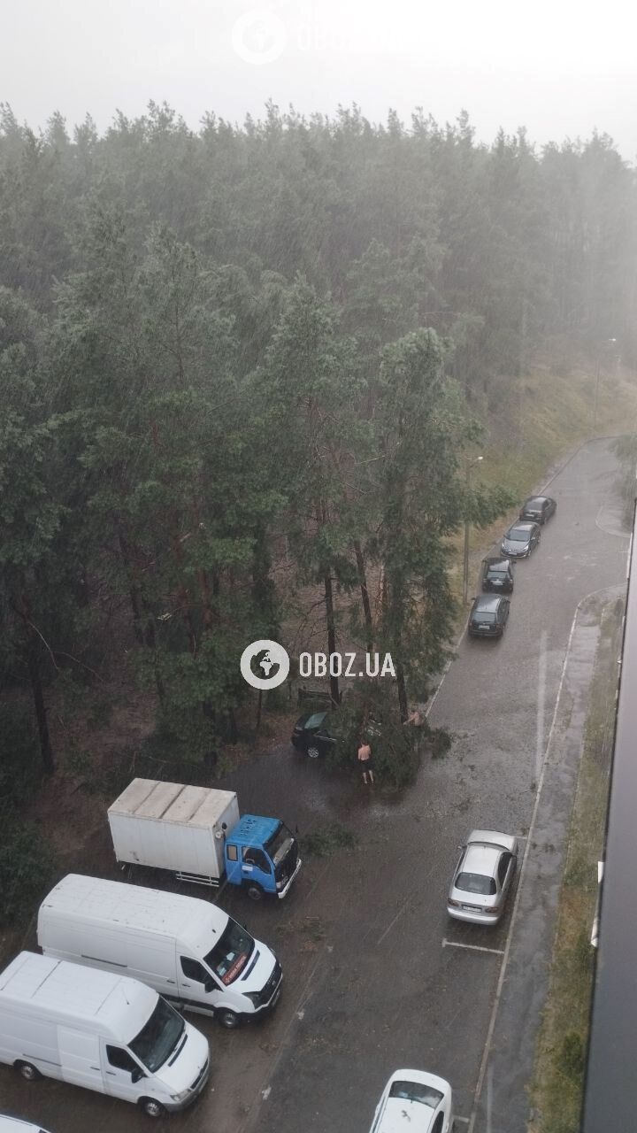 Broken trees fell on a playground and damaged a car: Kyiv and the region were hit by a thunderstorm. Photos and videos