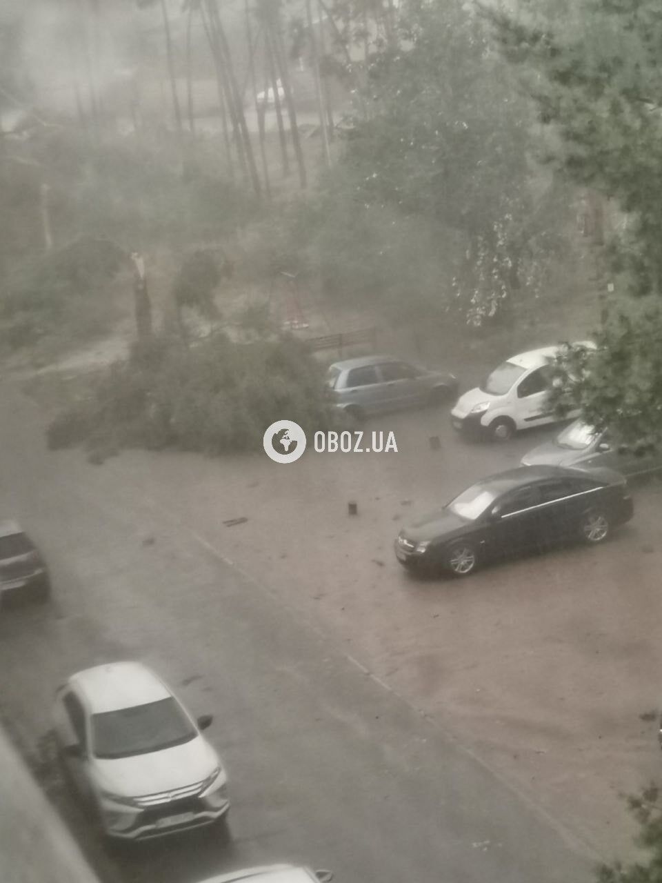 Broken trees fell on a playground and damaged a car: Kyiv and the region were hit by a thunderstorm. Photos and videos