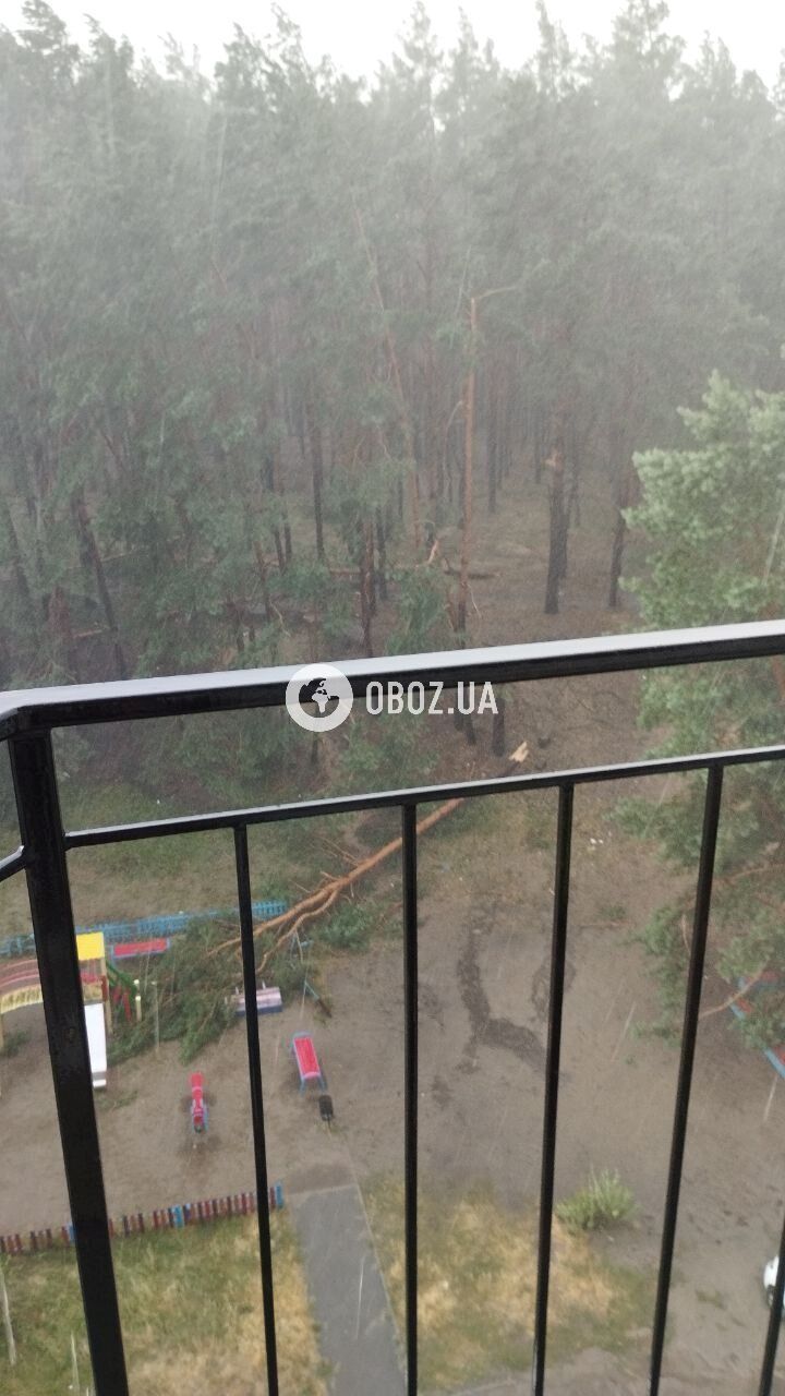 Broken trees fell on a playground and damaged a car: Kyiv and the region were hit by a thunderstorm. Photos and videos