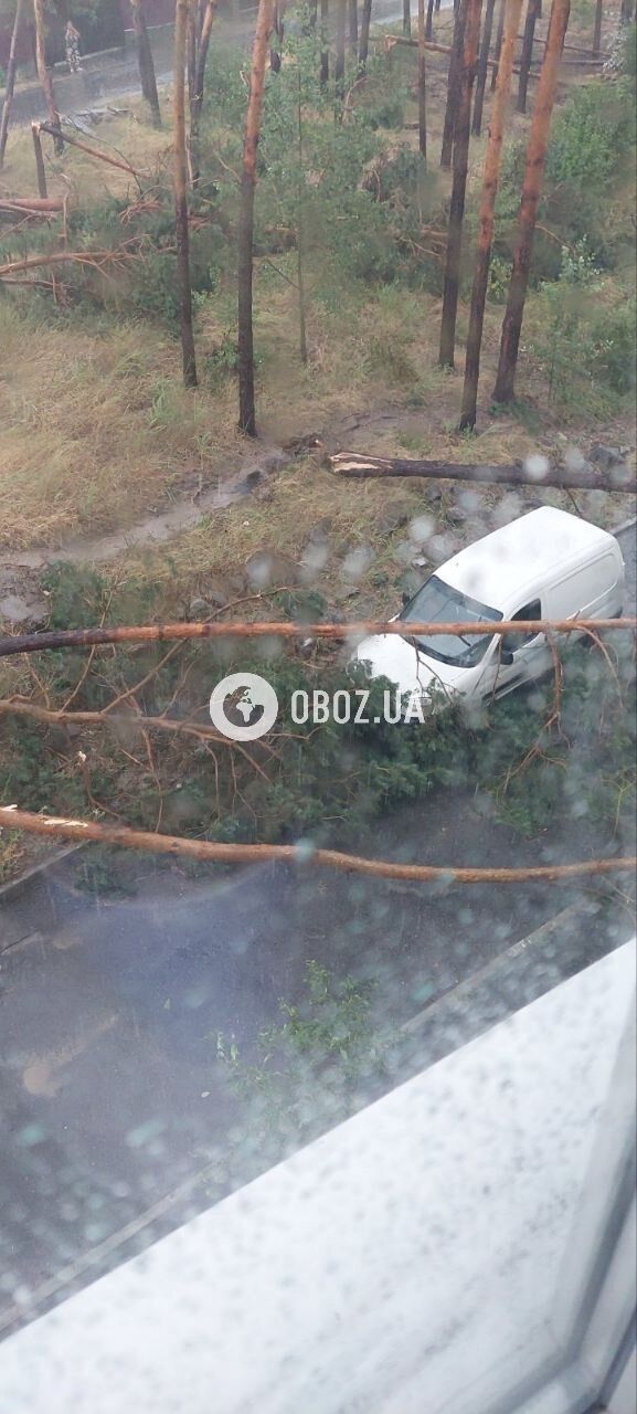 Broken trees fell on a playground and damaged a car: Kyiv and the region were hit by a thunderstorm. Photos and videos