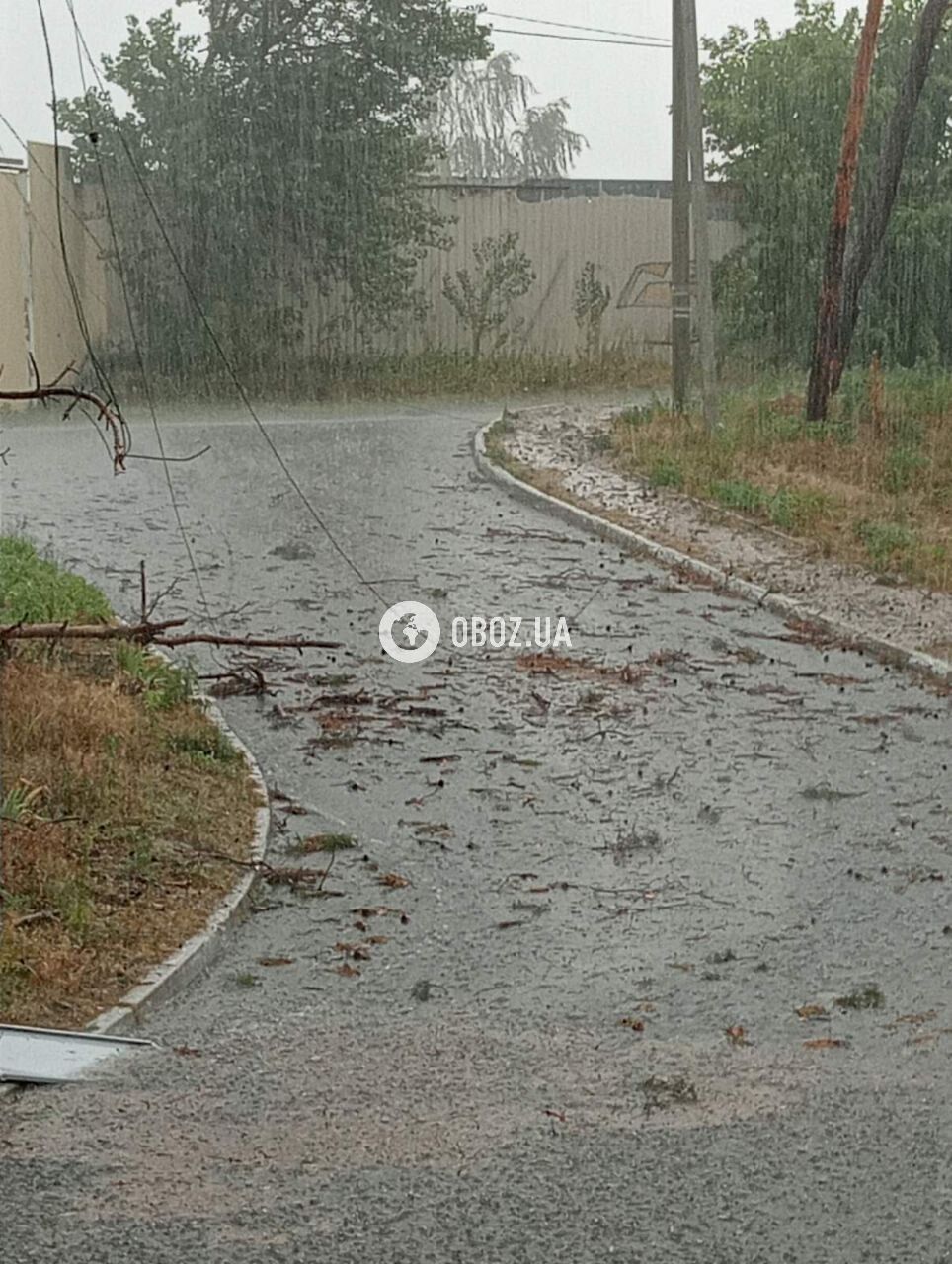 Broken trees fell on a playground and damaged a car: Kyiv and the region were hit by a thunderstorm. Photos and videos