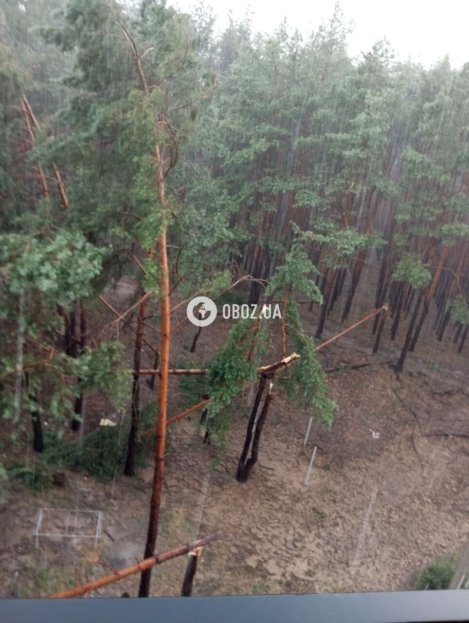 Broken trees fell on a playground and damaged a car: Kyiv and the region were hit by a thunderstorm. Photos and videos