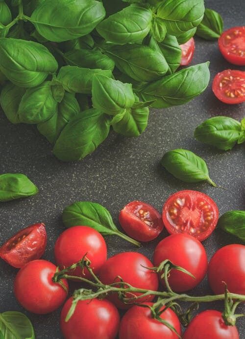 Basil for pesto sauce