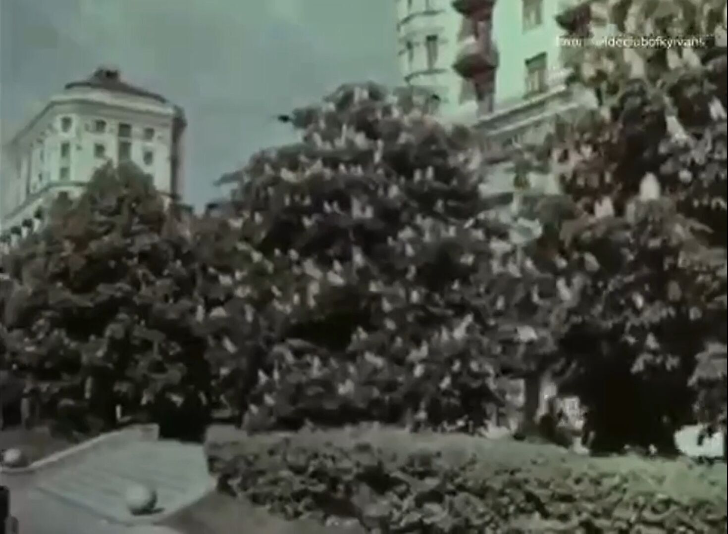 A city on the slopes of the Dnipro: the web shows what Kyiv looked like in 1965. Archival video