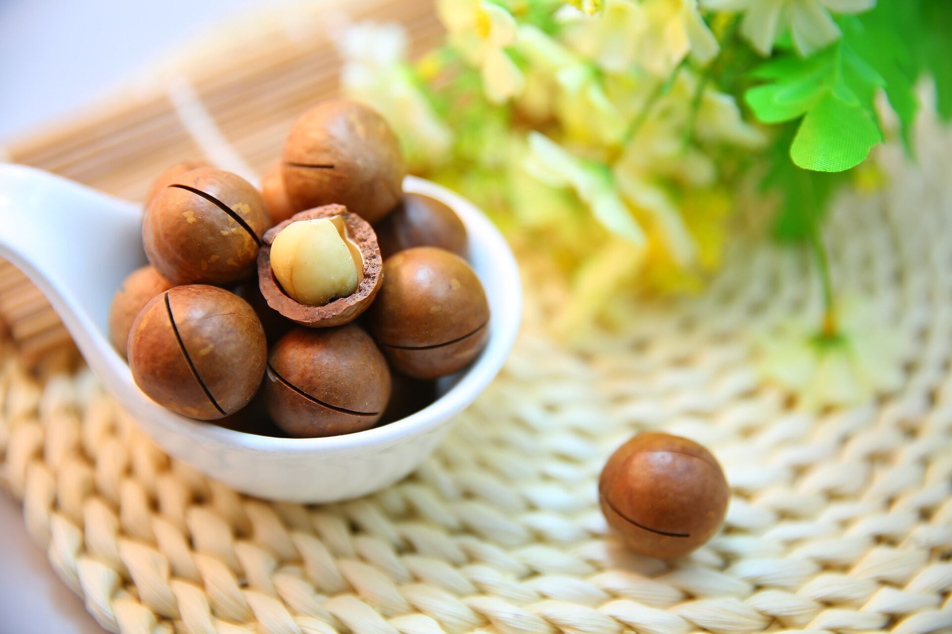 Macadamia nuts