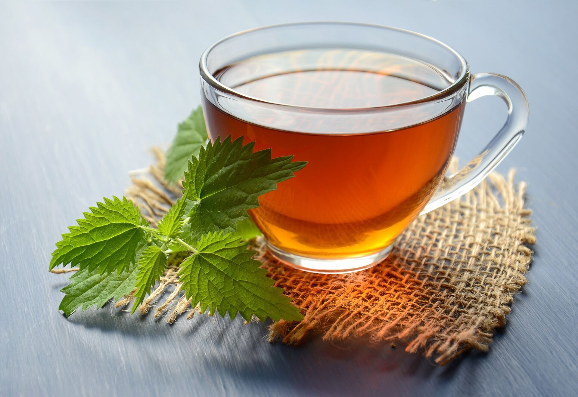 Nettle tea