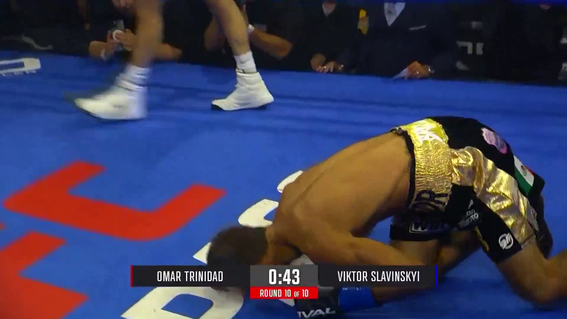 The Ukrainian champion boxer was knocked out in the title fight. Video