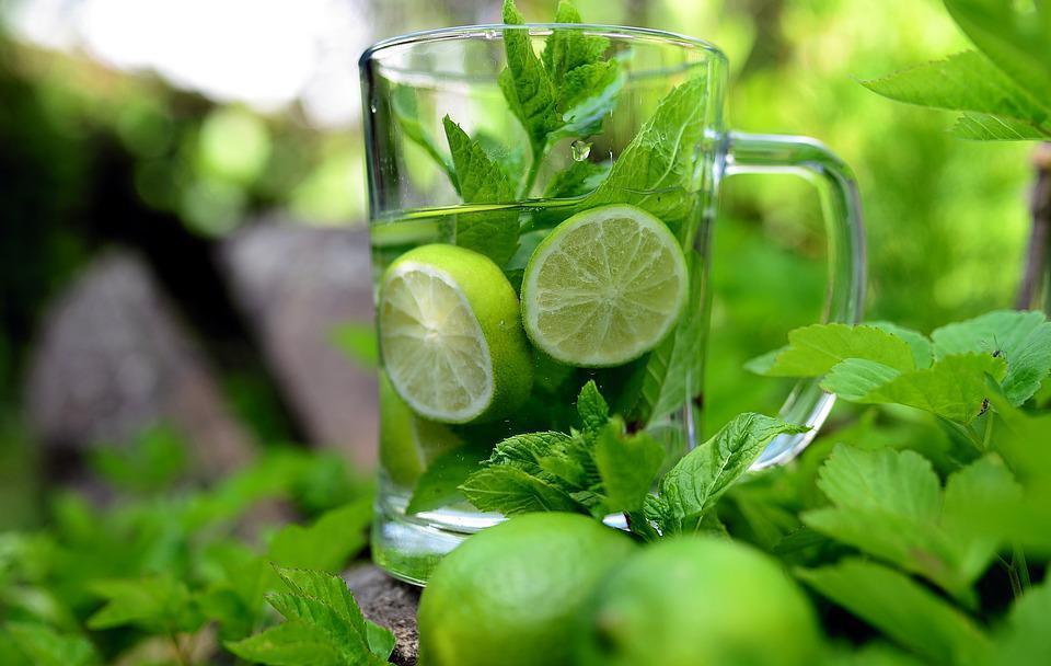 Mint for mojitos