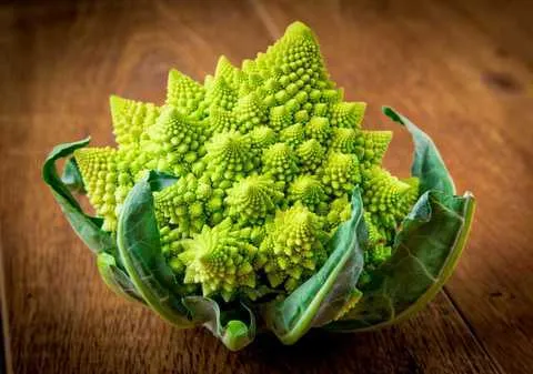 Pepino, melotria, romanesco: what rare vegetables can be grown at home in the garden