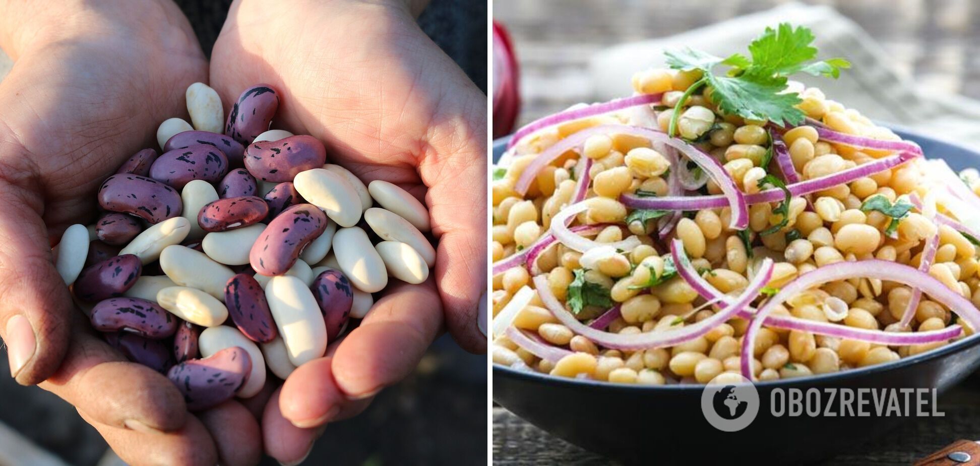 Bean salad with cheese and onions