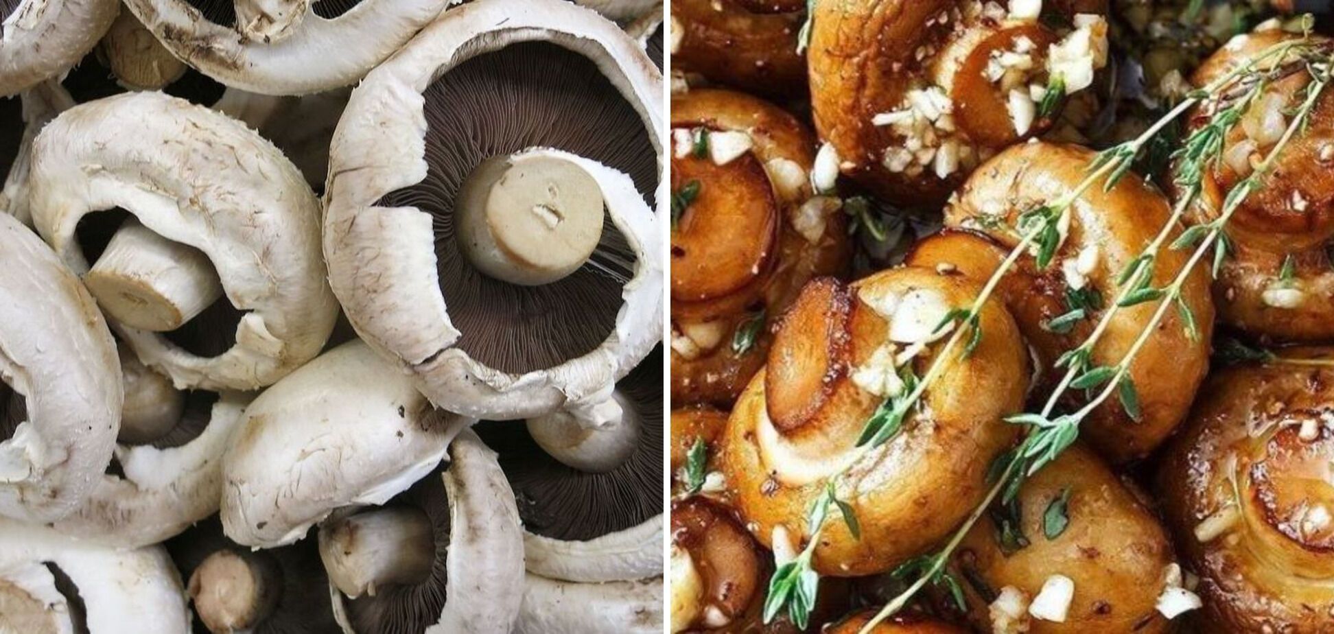 How to cook champignons deliciously