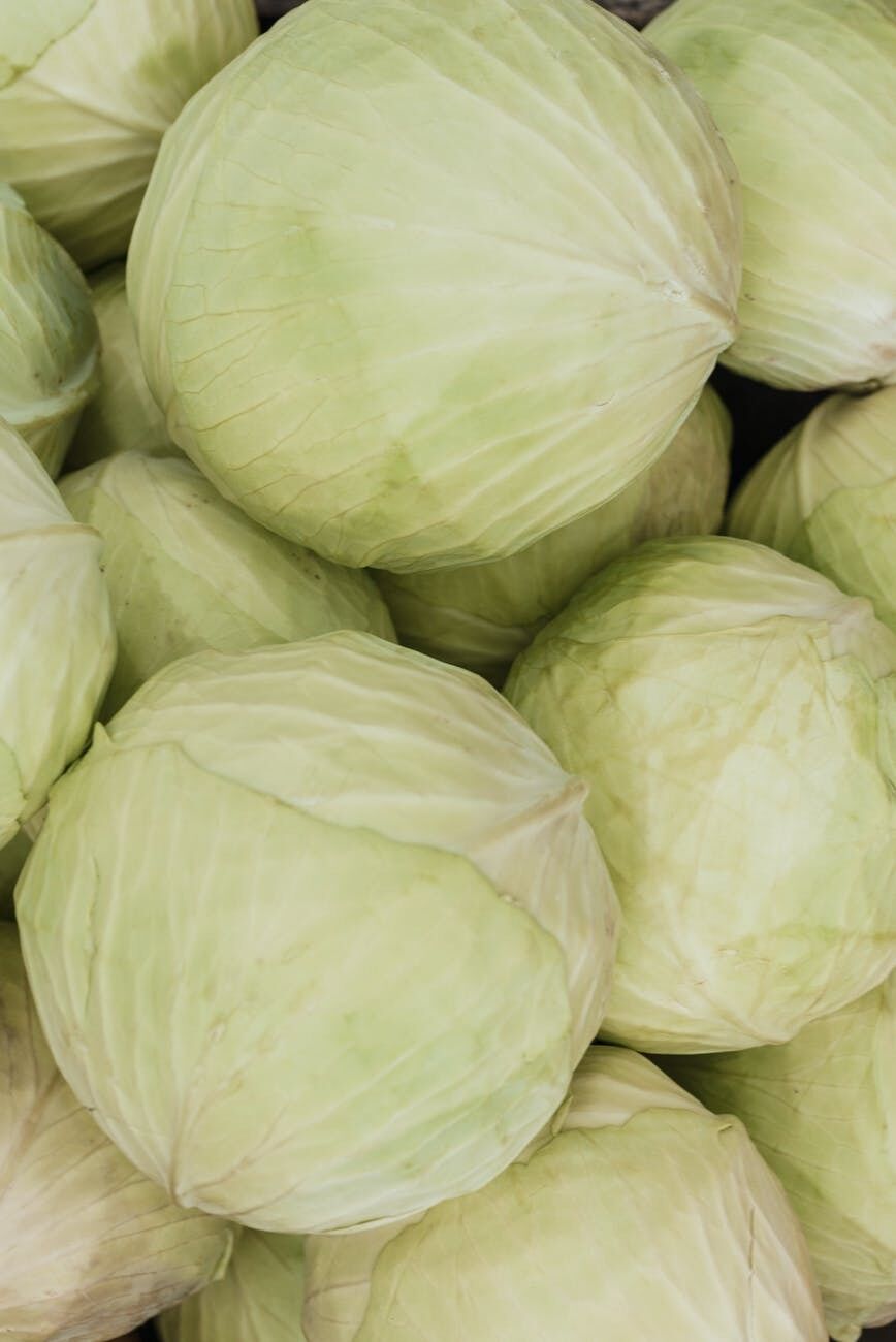 How to pickle cabbage quickly and deliciously