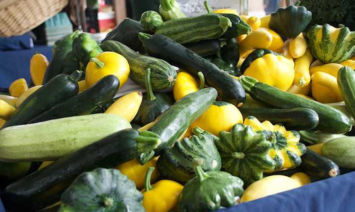 Why zucchini spoil quickly: storage mistakes you should avoid