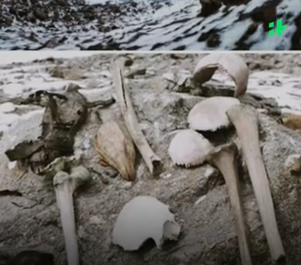 ''Lake of Bones''. Hundreds of human skeletons found in the Himalayas at an altitude of 5000 meters: where did they come from