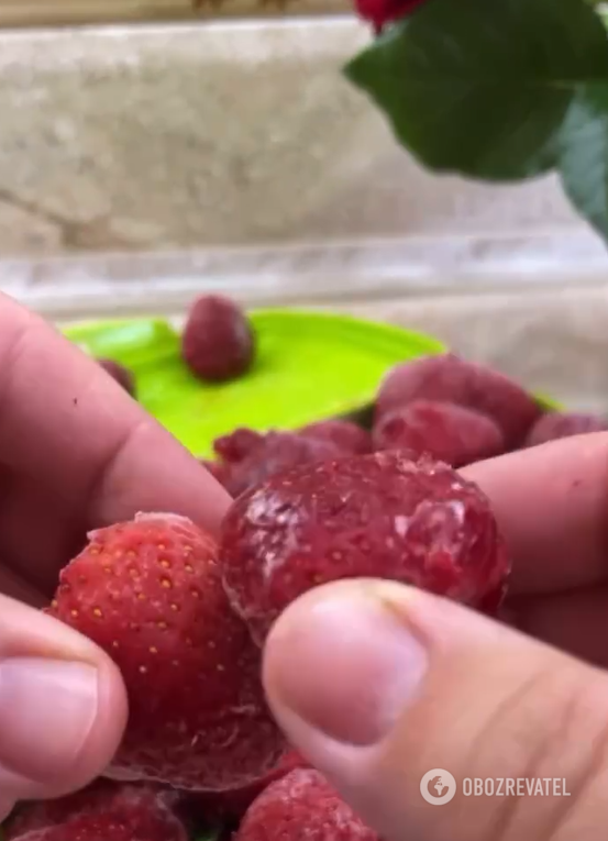 Cool strawberry banana sorbet instead of ice cream: how to make