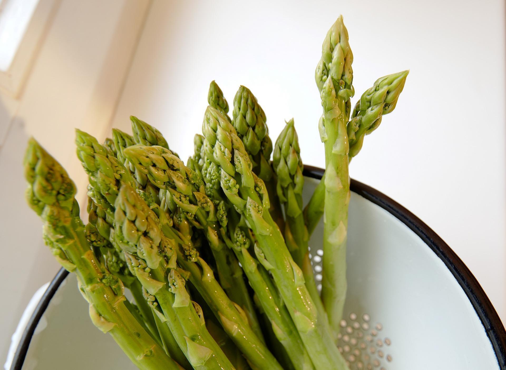 Young asparagus