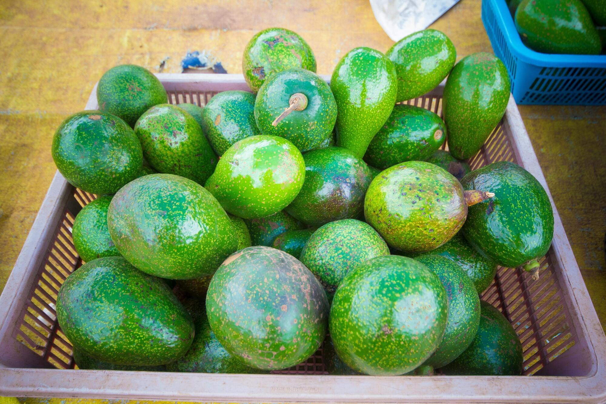 How to store avocados to keep them fresh for weeks: a life hack