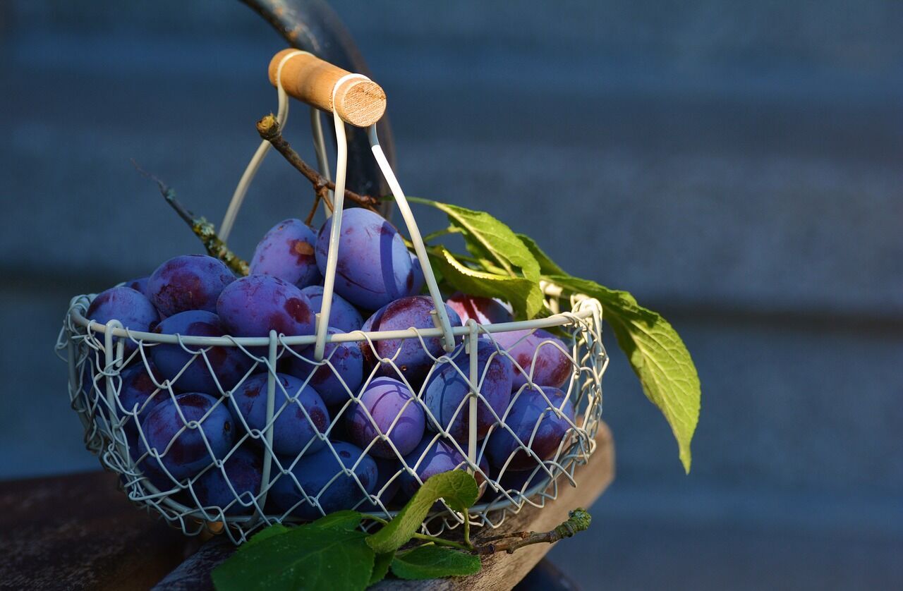 ''Nutella'' made from plums: how to make a delicious unusual jam