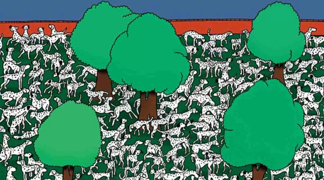 Find the strange Dalmatian among his spotted friends: a puzzle that will make your eyes hurt