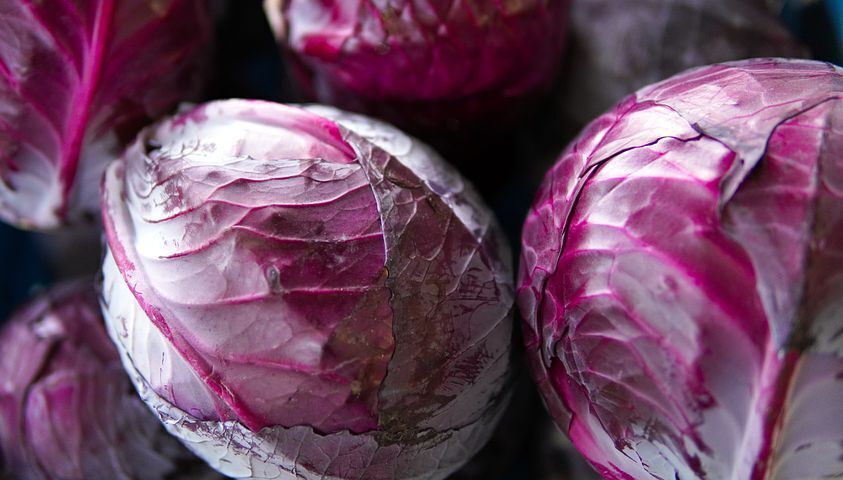 Cabbage for cooking