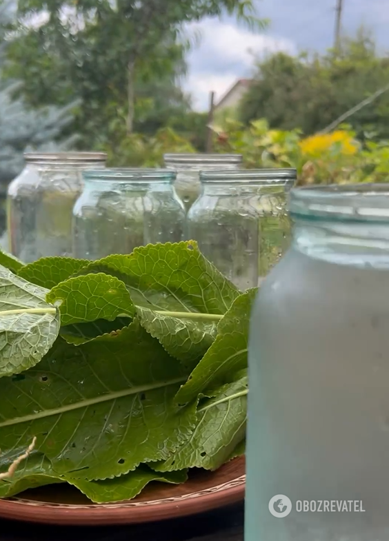 The most delicious pickled tomatoes with a special ingredient: Vitaliy Tylnyi shared his idea