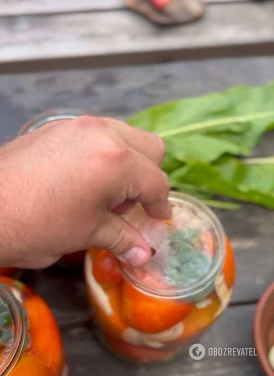 The most delicious pickled tomatoes with a special ingredient: Vitaliy Tylnyi shared his idea