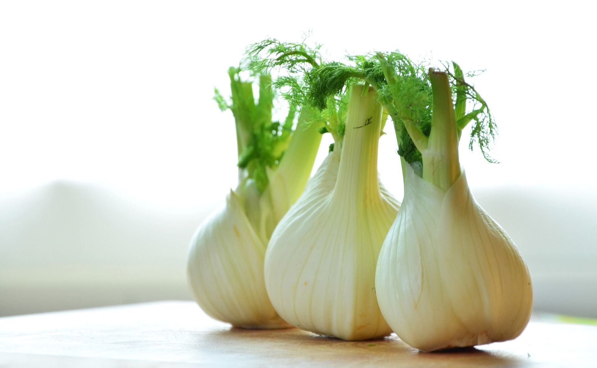 Fennel is considered a dietary product