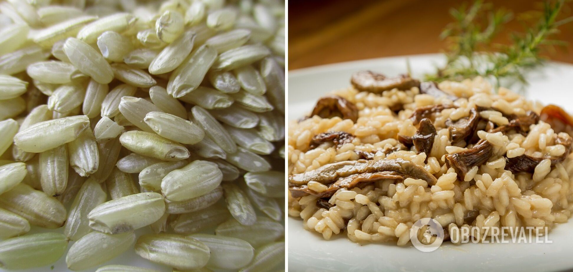 Risotto with porcini mushrooms